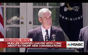 LAWYER INDICTED FOR LYING IN RUSSIA INVESTIGATION