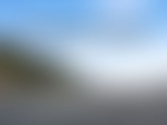 The Efficient Breach