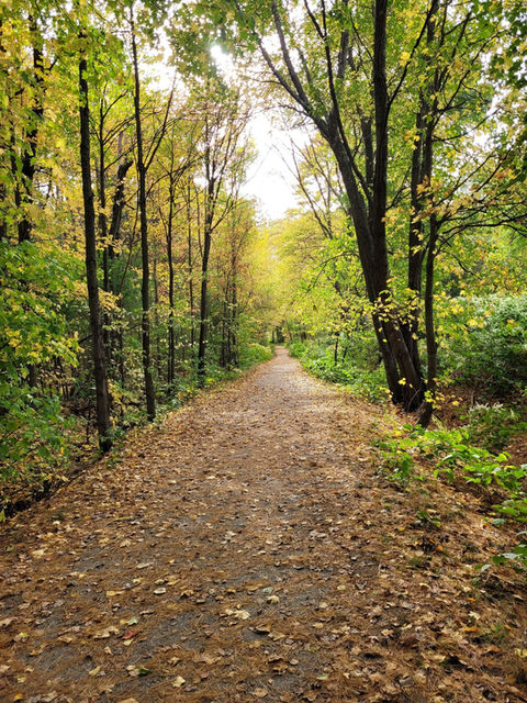 Trail 1 2.jpeg