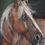 Thumbnail: Majestic Whisper Horse Oil Painting, Size 24x18