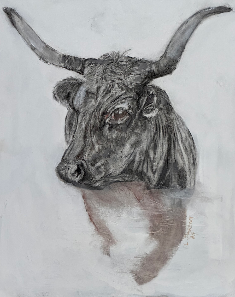 Charcoal drawing looking at the face of a Longhorn Cattle
