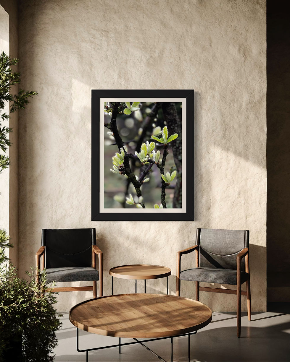 close-up glimpse of verdant, fresh leaves delicately draped in pearlescent droplets in a frame hanging in a room