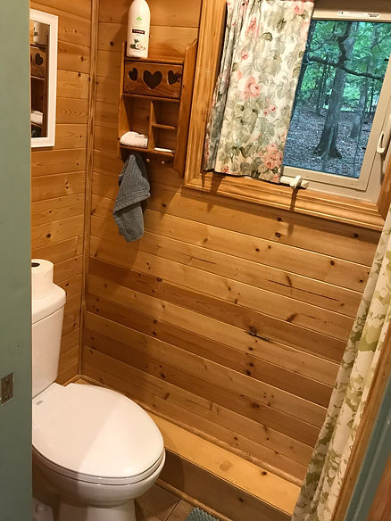 Tiny House 2 bathroom.jpg