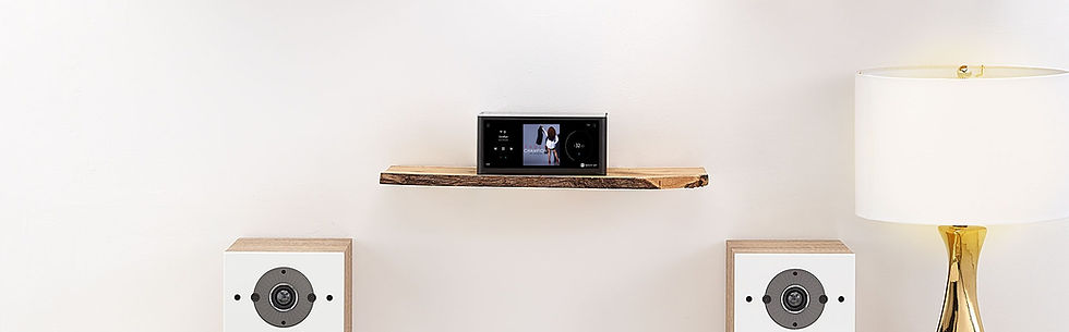M10-DAC-Amplifier_edited.jpg