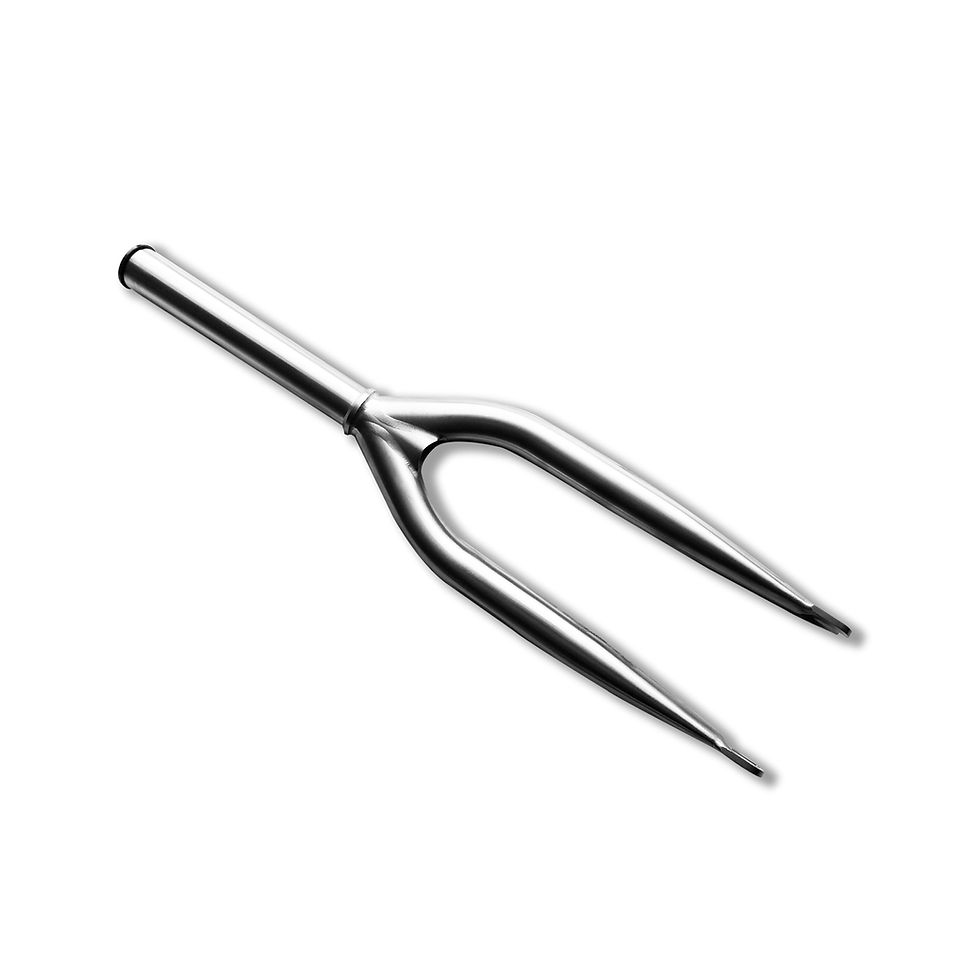 Thumbnail: FEC Turbo Titanium Fork