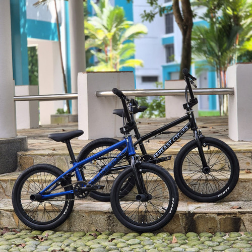 FEC 16 inch Kids Bike - Flat Street Style | twentyinchcircle