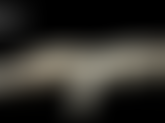 Introduction to sleep