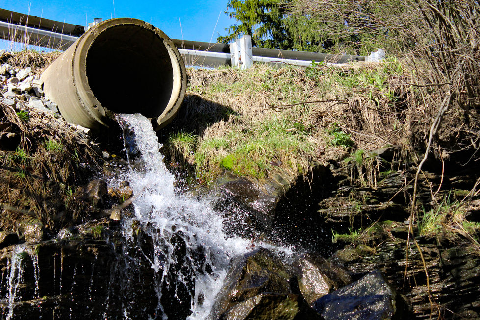IMG_5665
