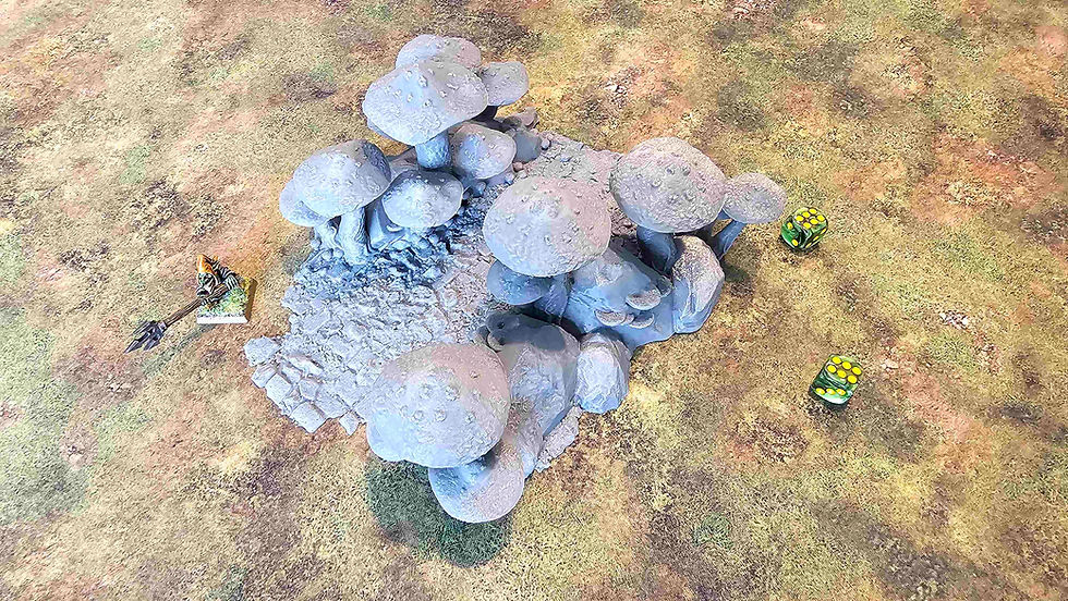 Miniature : FUNGALWOOD - PATH 3