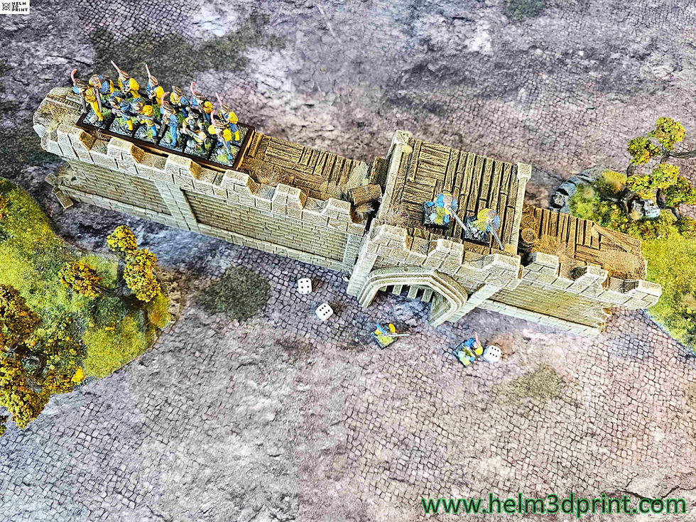 Miniature : FORTRESS BREACH - GATES