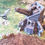 Miniature : SHOOTING TURRET - CANON TURRET