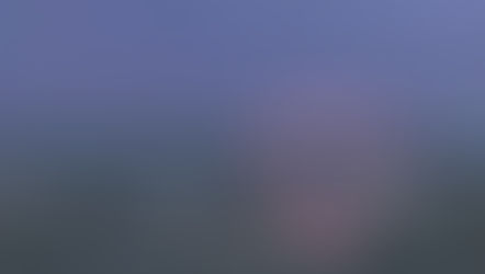 Love reigns over City