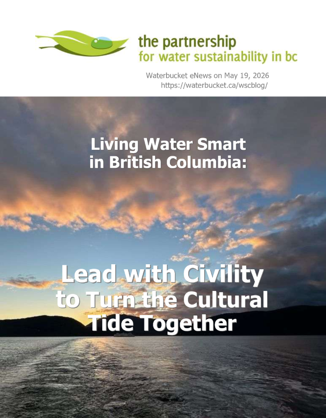 Poster for Partnership for Water Sustainability in BC with sunset over water and text: Living Water Smart in British Columbia and Lead with Civility
