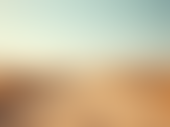 Weed Control Services in Surprise, AZ: Keeping Your Property Pristine