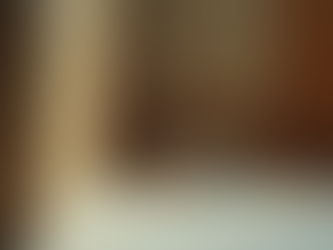 Reliable Mice and Rat Removal Services for Your Home or Business