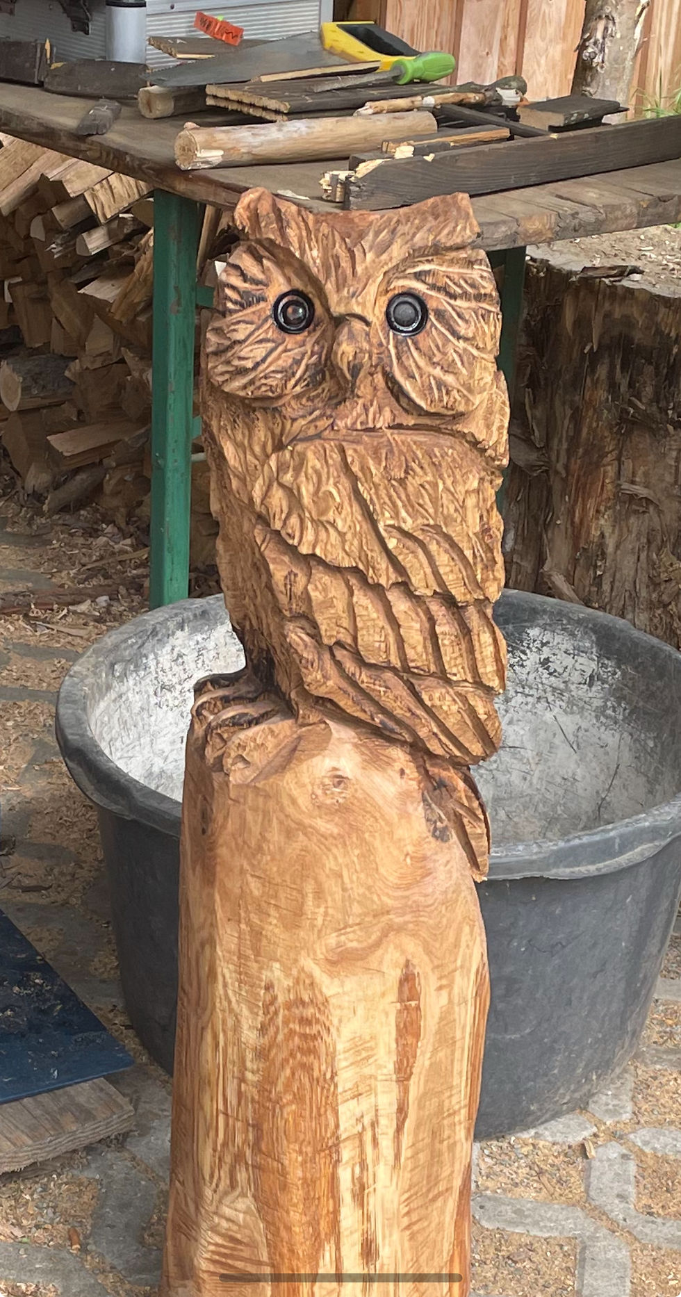 Miniaturbild: Eule