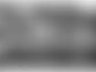 O centenĂĄrio dos Camisas Negras