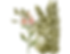 MOTHER EARTH THERAPY (2).png