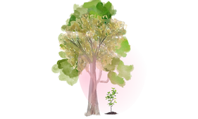 Copy of MOTHER EARTH THERAPY (5).png