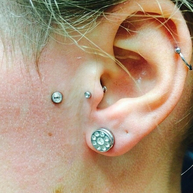 Piercer portfolios Gainesville Florida Bodytech Tattooing and Piercing