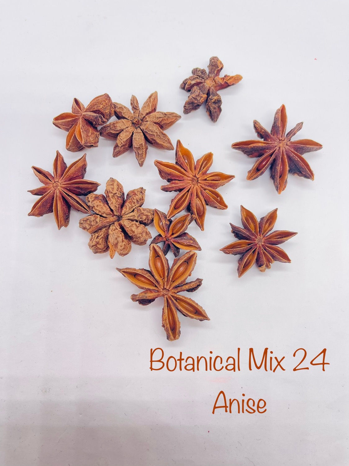 Anise Star - Mix whole and pieces - 5g Botanical Mix 24