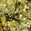 Thumbnail: STEFAN -Silver and Gold - Cosmetic Glitter