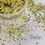 Thumbnail: STEFAN -Silver and Gold - Cosmetic Glitter