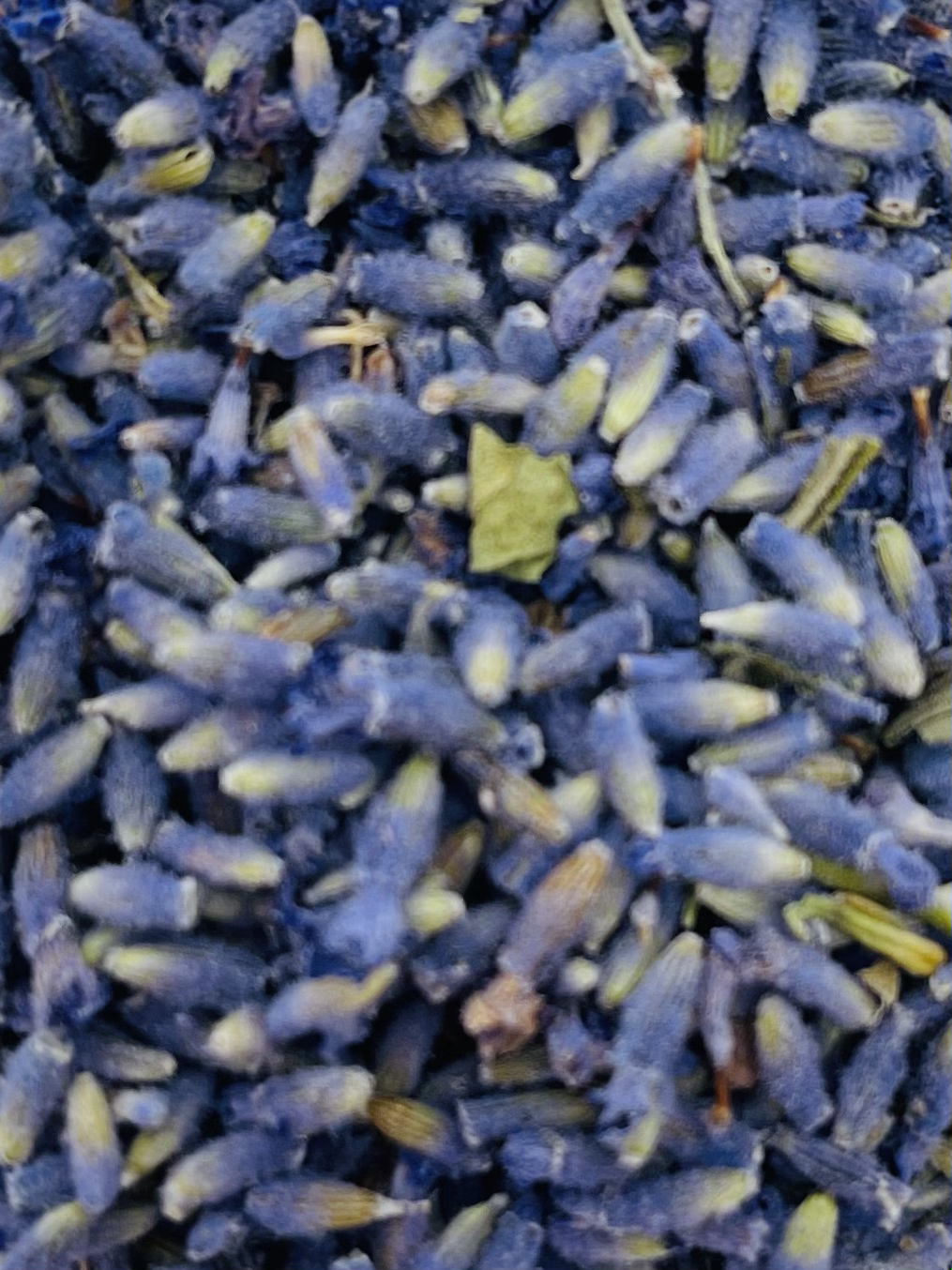 Blue Lavender - Fragranced -  5g Botanical Mix 27