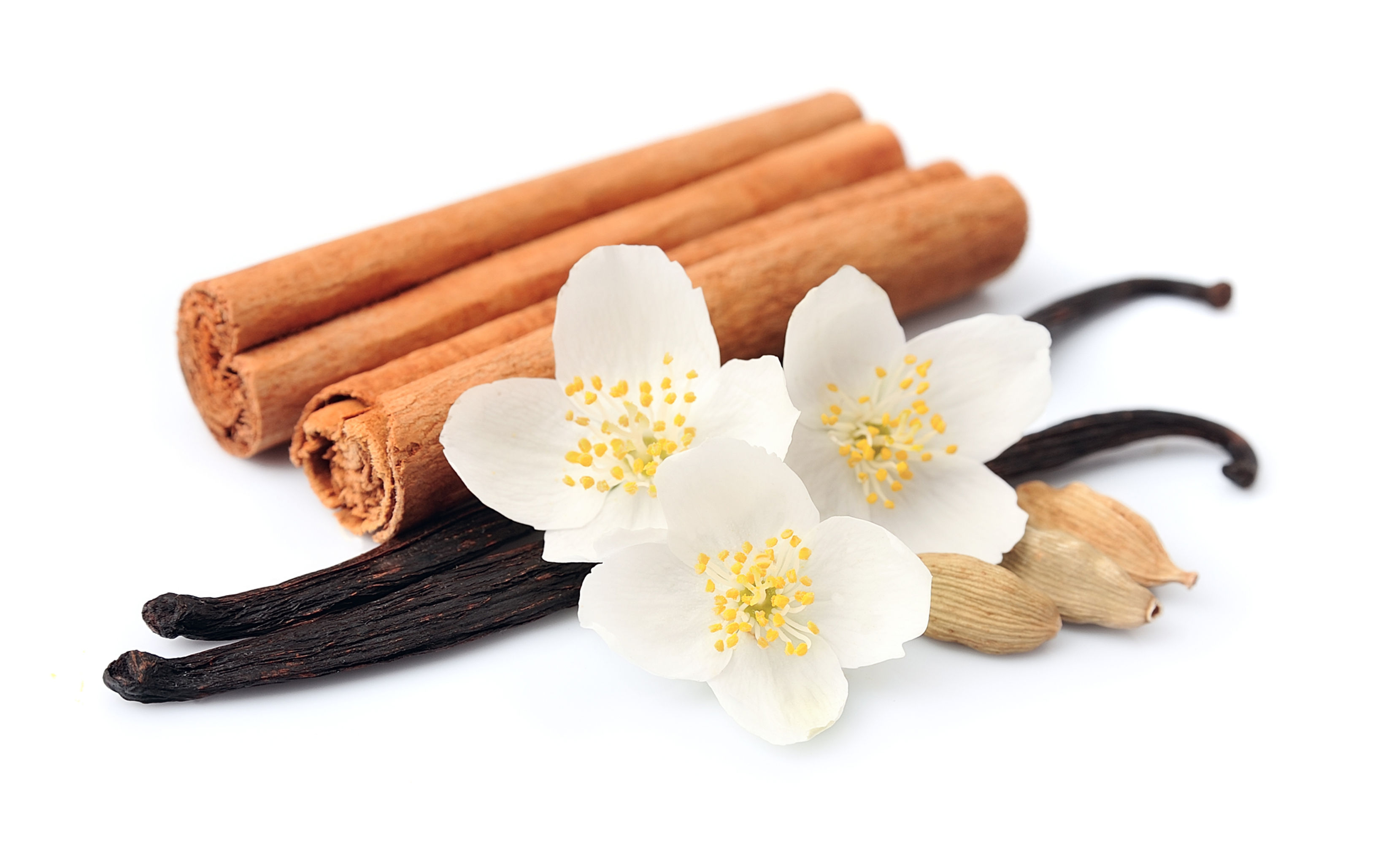 Vanilla Cinnamon Fragrance Oil