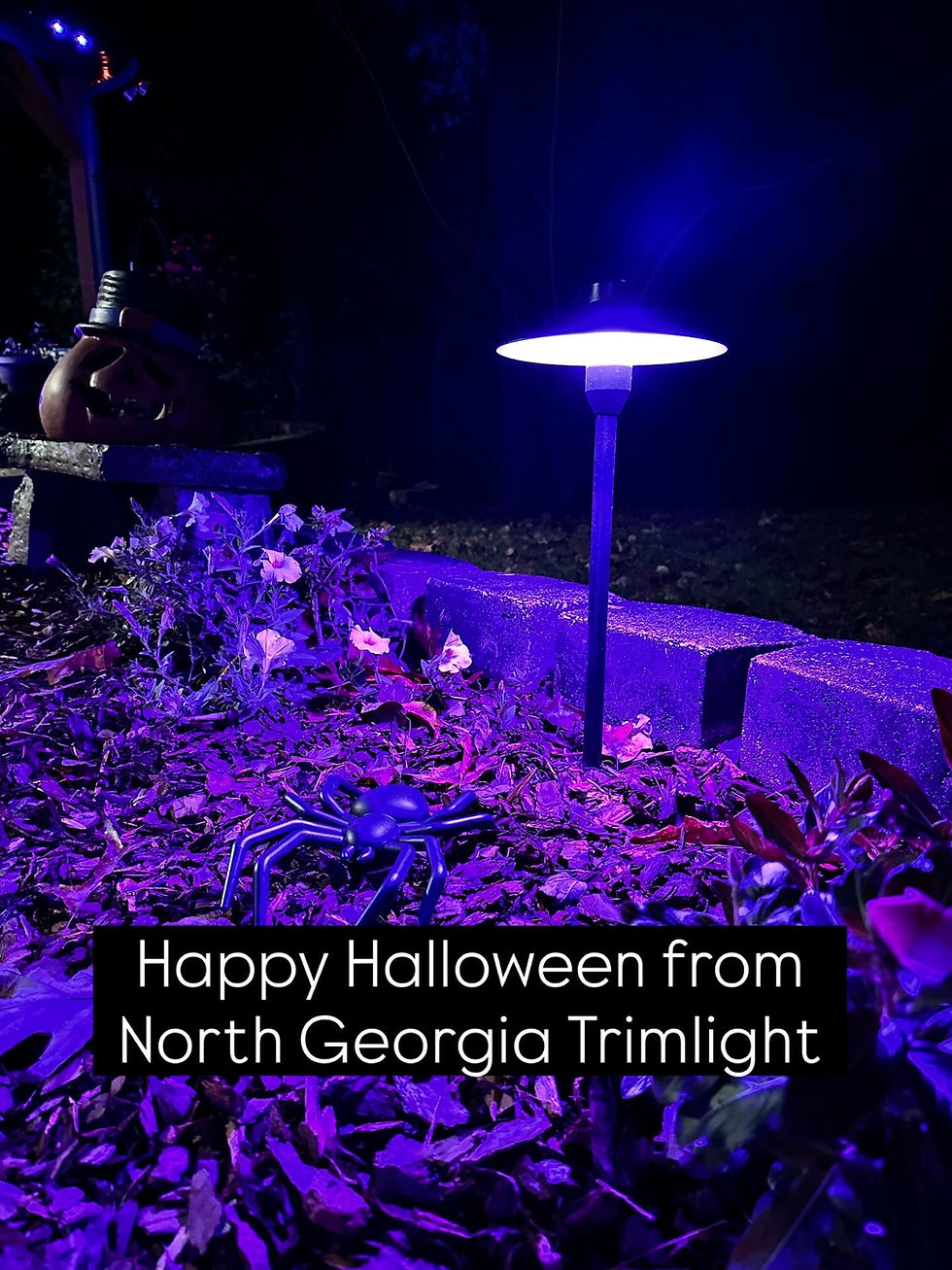 8B8E983E-2945-4C73-A192-AEBA445D8A5E