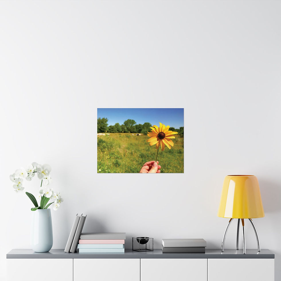 Thumbnail: Black-eyed Susan Field Matte Poster — Horizontal Nature Wall Art