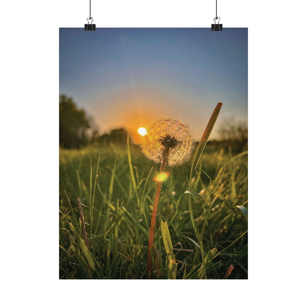 Thumbnail: Dandelion Wish Sunset Poster — Matte Vertical Nature Wall Art