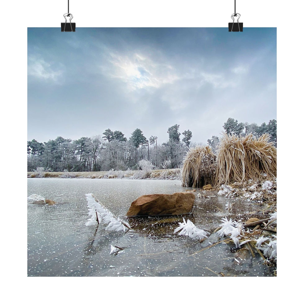 Thumbnail: Winter Pond Matte Poster — Frosty Shore Landscape Horizontal Wall Art