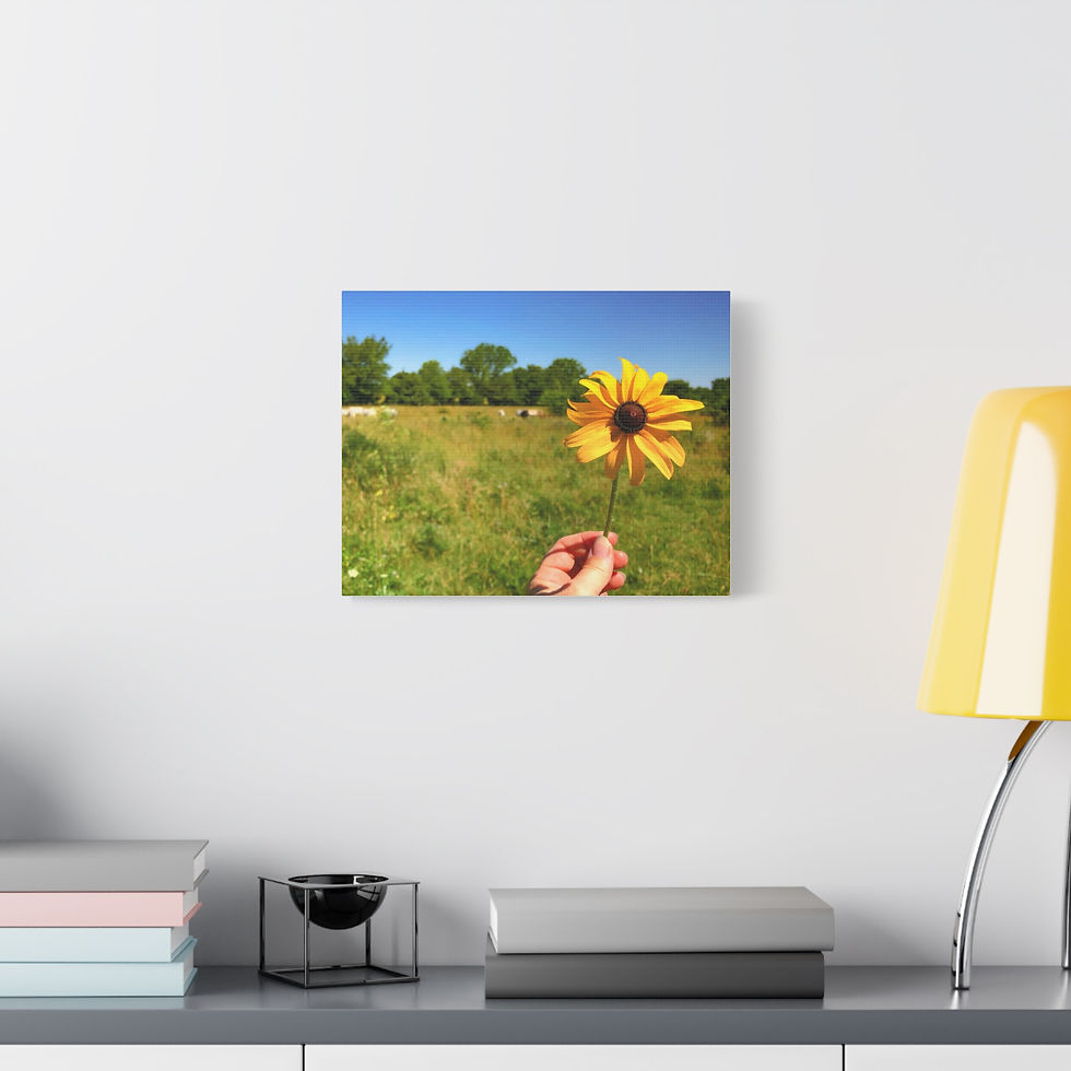 Thumbnail: Wildflower Field Canvas Wall Art — Hand-Held Bloom Matte Stretched Print