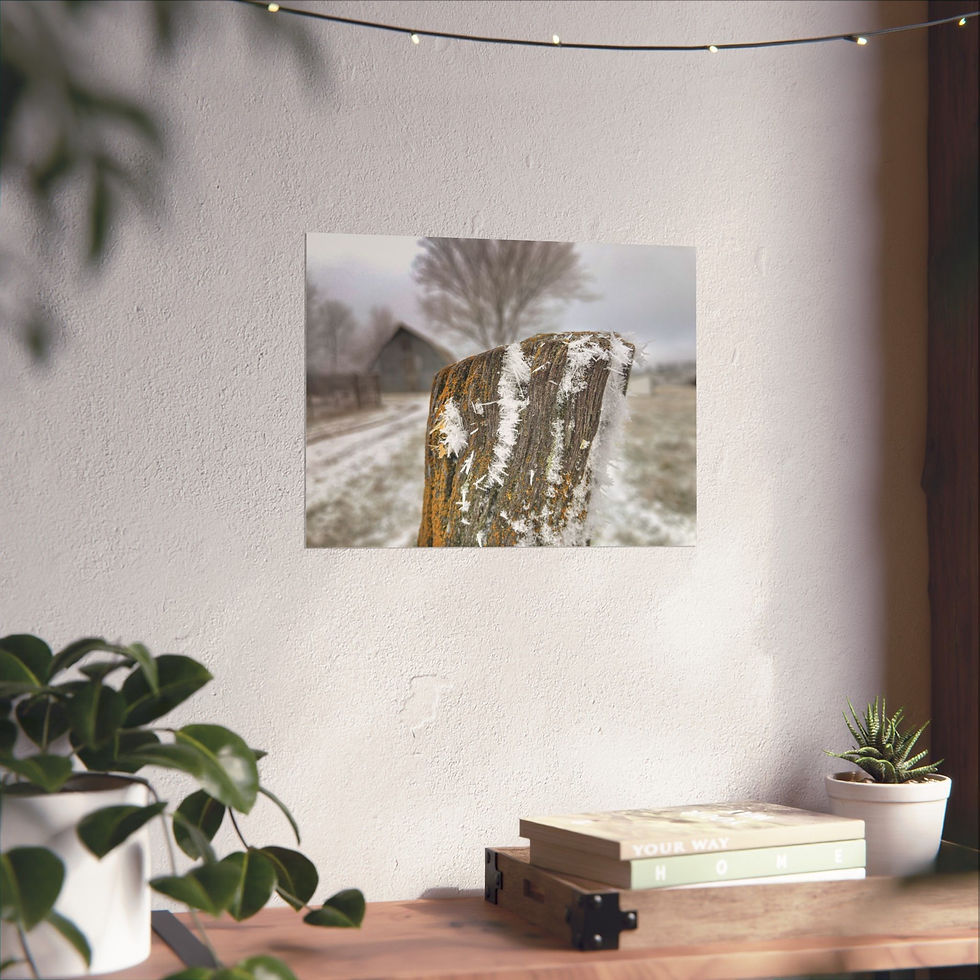 Thumbnail: Rustic Winter Frosty Fence Poster — Matte Horizontal Farm Landscape Print