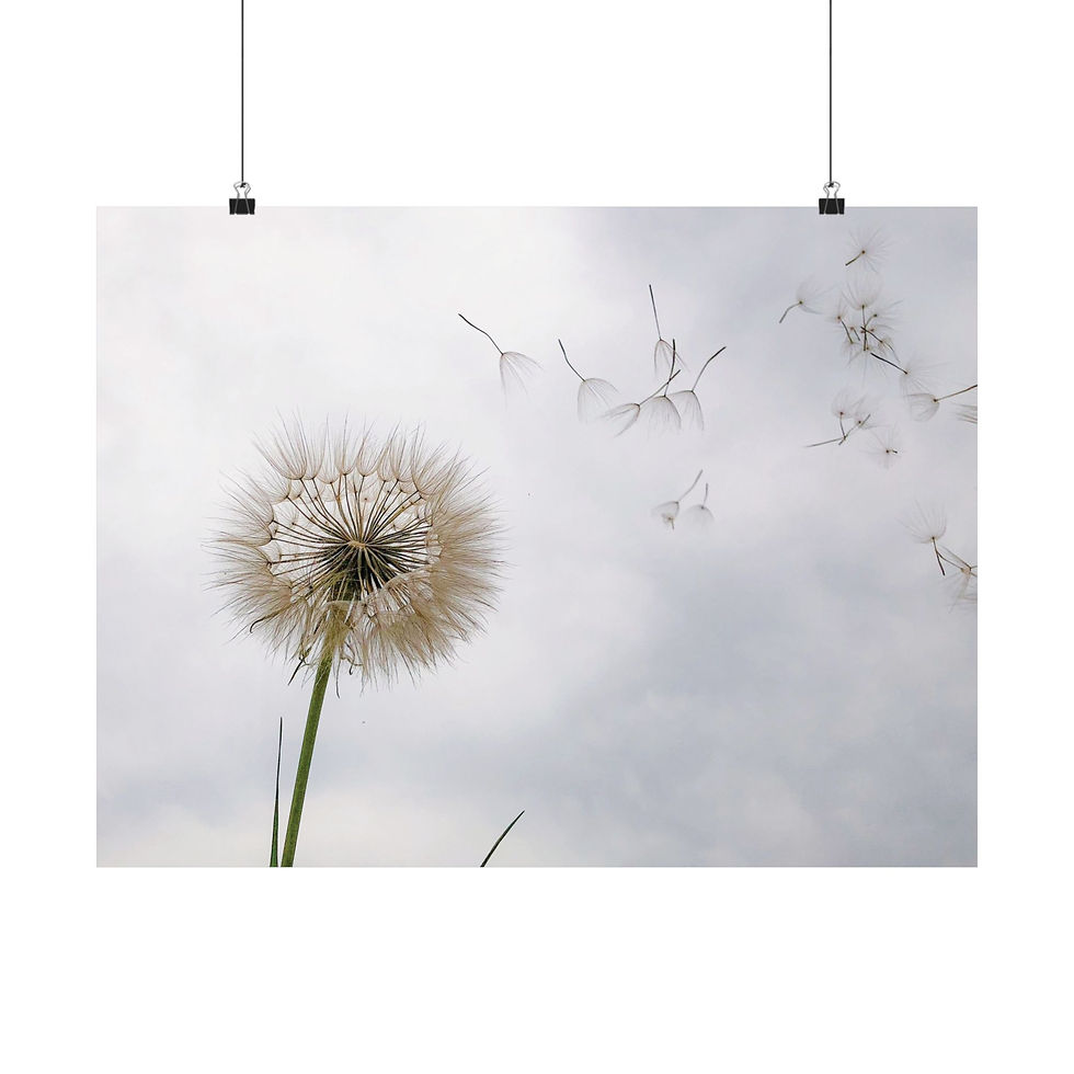 Thumbnail: Dandelion Seed Wish Matte Poster — Minimal Botanical Horizontal Wall Art
