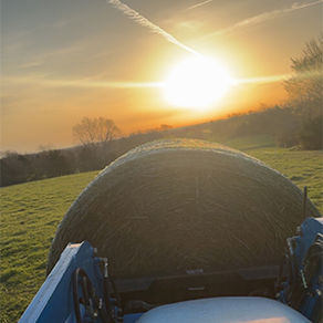 March the Bipolar month.