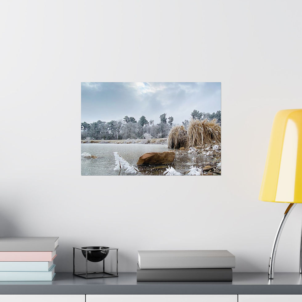 Thumbnail: Winter Pond Matte Poster — Frosty Shore Landscape Horizontal Wall Art