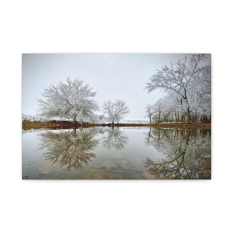 Thumbnail: Winter Reflection Matte Canvas Wall Art — Frosted Trees Over Mirror Pond