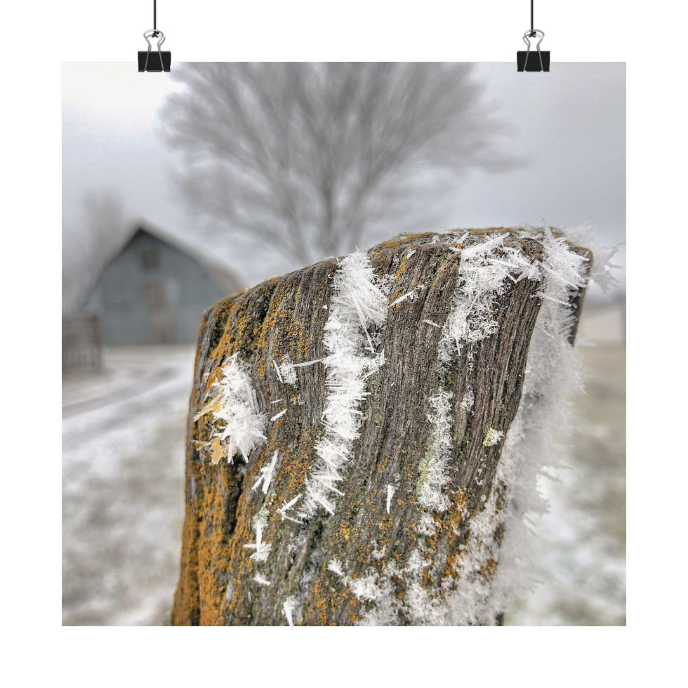 Thumbnail: Rustic Winter Frosty Fence Poster — Matte Horizontal Farm Landscape Print