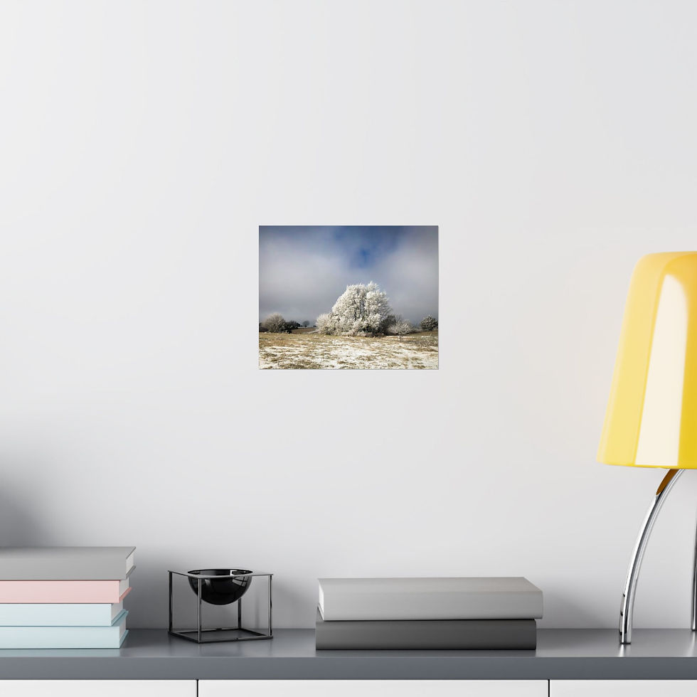 Thumbnail: Winter Frost Landscape Poster — Matte Horizontal Nature Wall Art