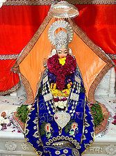 IMG_8855.JPG
