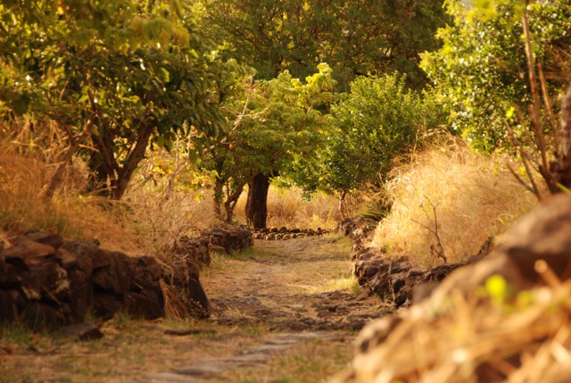 Chemin_pavé_Bellemène_3_.jpeg