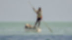 L'homme et la mer.jpg Rodrigues.