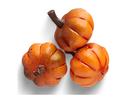 pumpkin.png