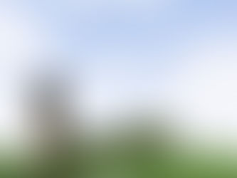 Single Review of "Glue Song" by Beabadoobee