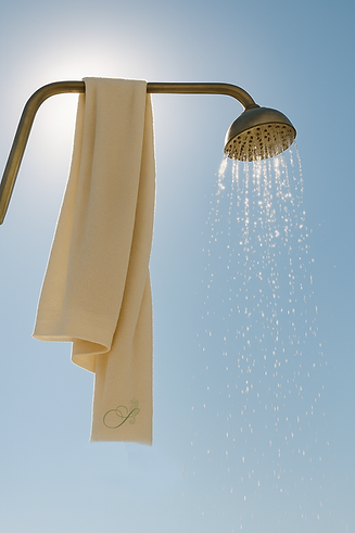 towel.png