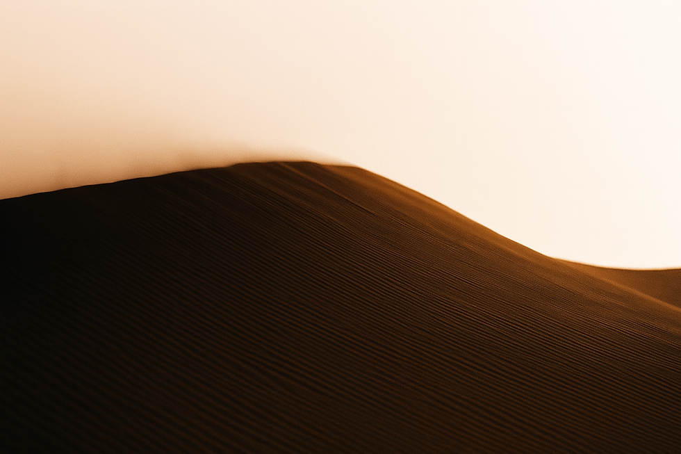 portfolio background 1.png
