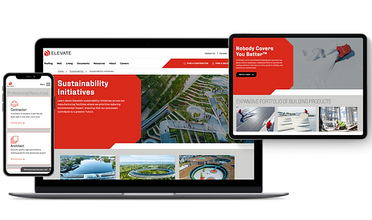 Web Design (5).png