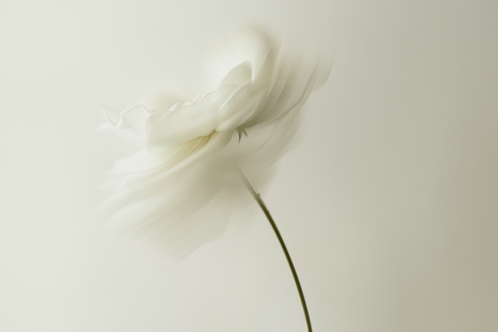 background image.png